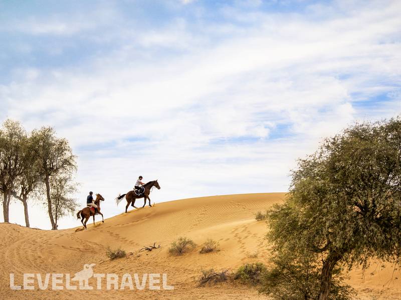 Фотография The Ritz Carlton Ras Al Khaimah, Al Wadi Desert