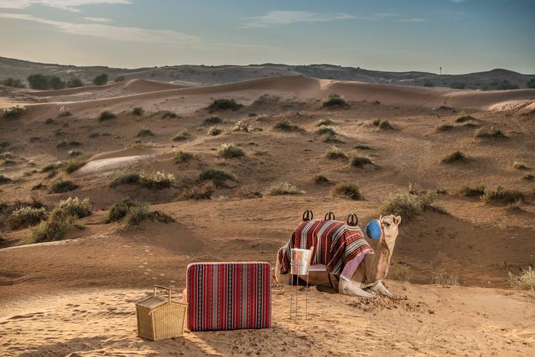 The Ritz Carlton Ras Al Khaimah, Al Wadi Desert