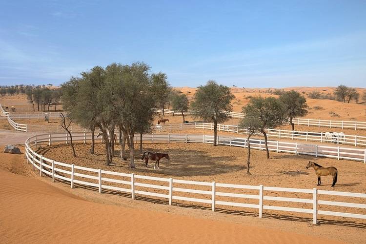 The Ritz Carlton Ras Al Khaimah, Al Wadi Desert