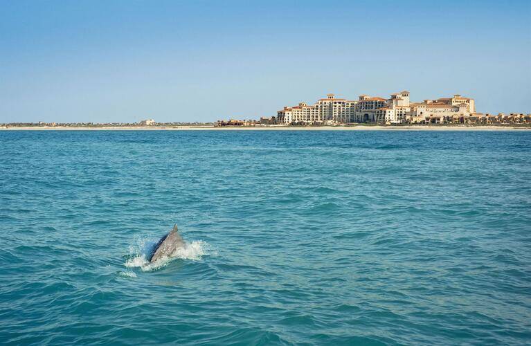 The St. Regis Saadiyat Island Resort