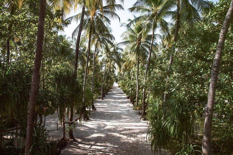 Nakai Maayafushi (Ex.Maayafushi Tourist Resort)