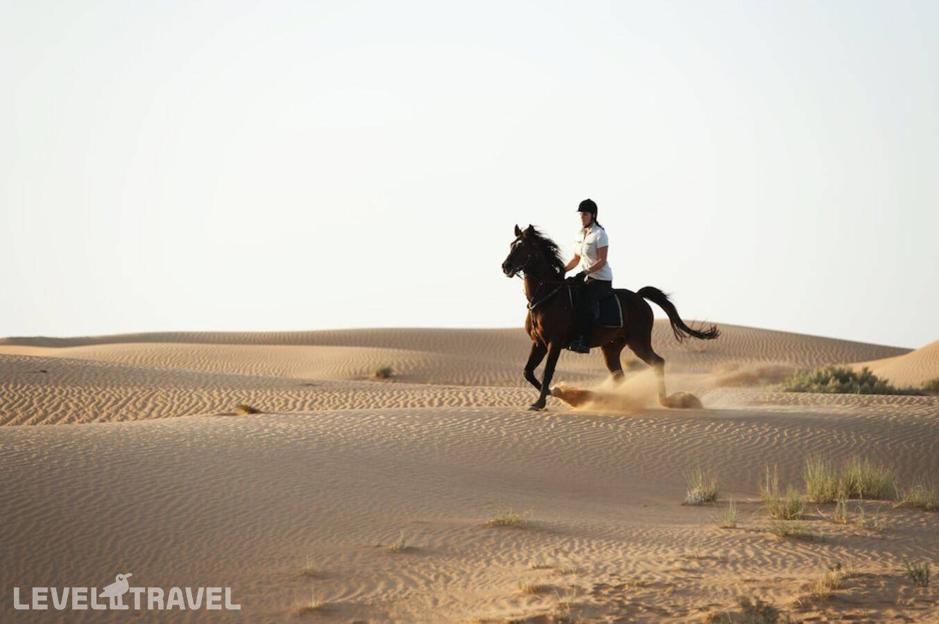 фотографии отеля Al Maha Desert Resort & Spa в ОАЭ(Аль-Авир) - фото №41