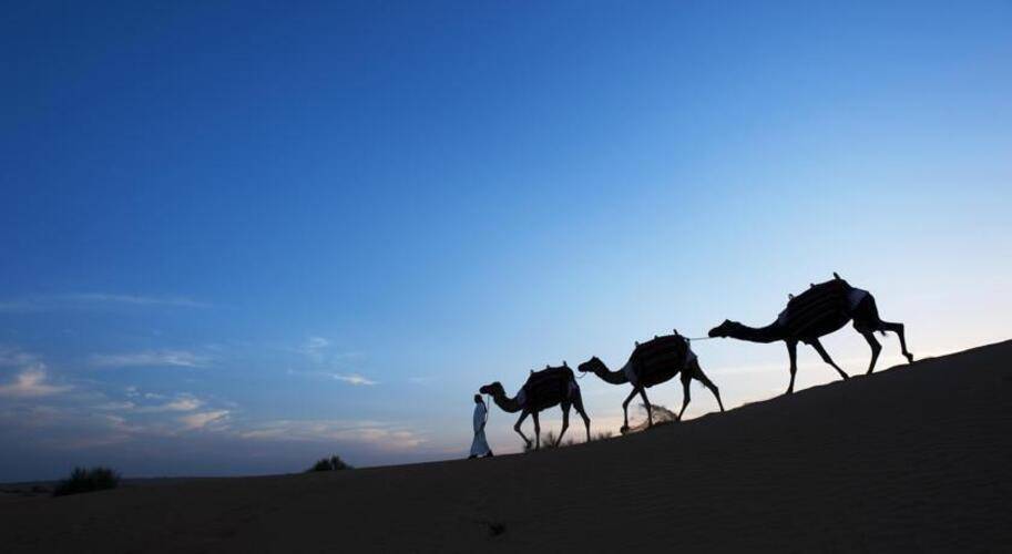 Al Maha Desert Resort & Spa
