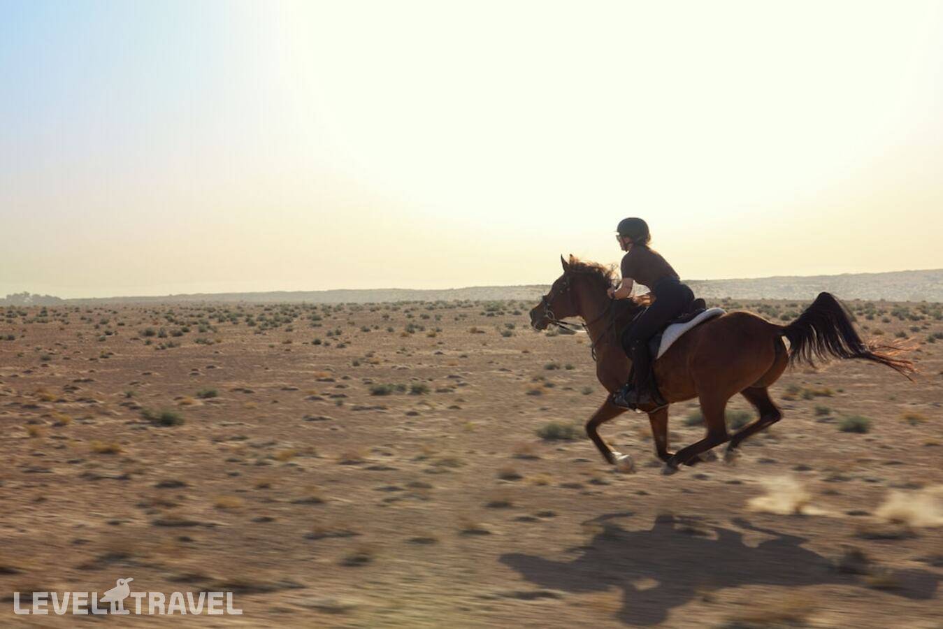 фотографии отеля Al Maha Desert Resort & Spa в ОАЭ(Аль-Авир) - фото №44
