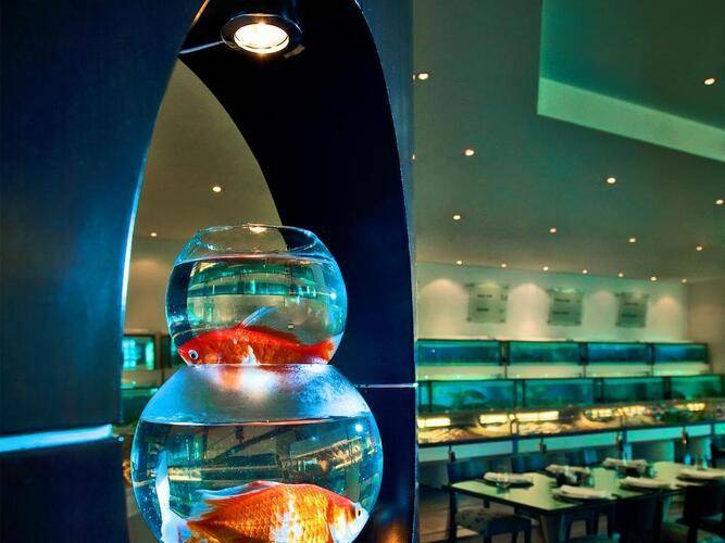 Le Meridien Dubai Hotel Conference Centre