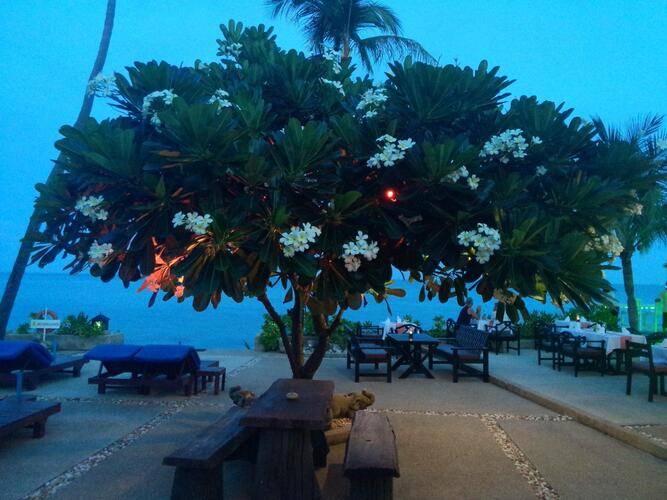 Rummana Boutique Resort