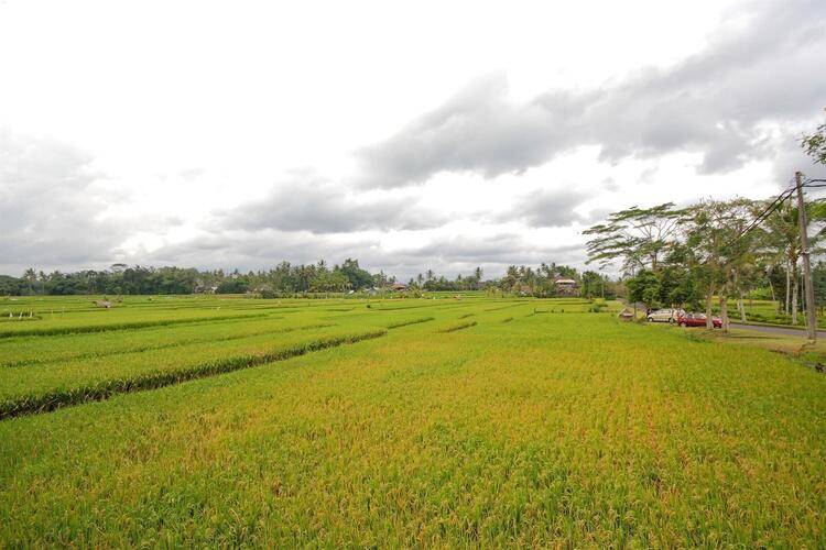 Puri Wulandari