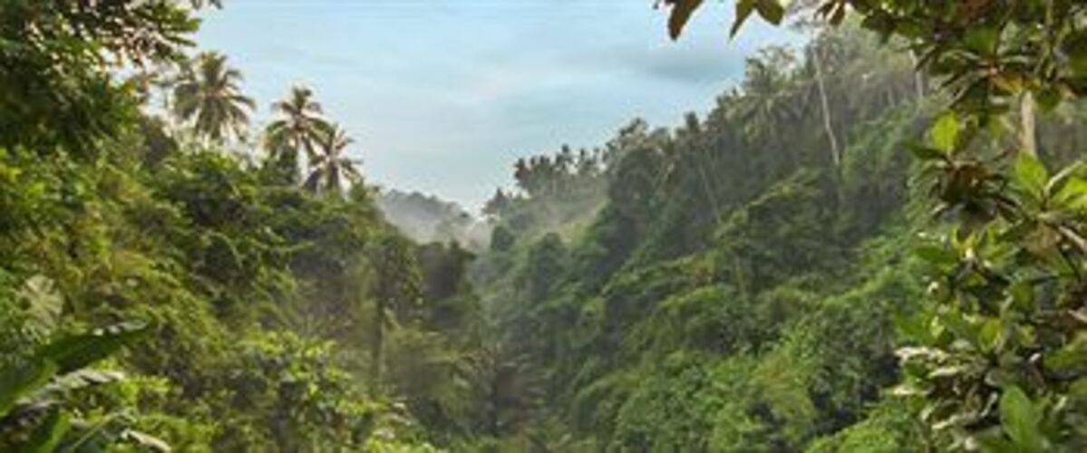 The Viceroy Bali