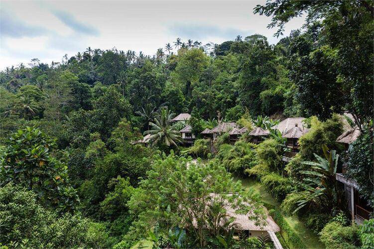Ubud Hanging Gardens