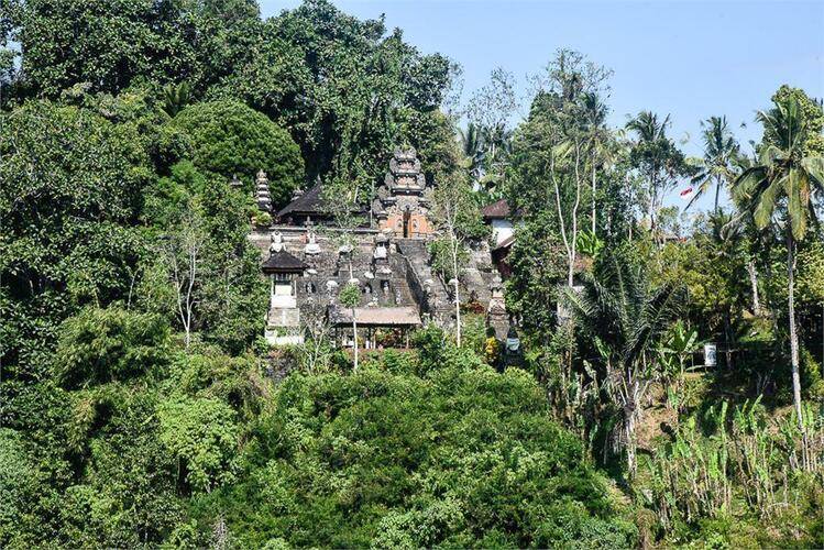 Ubud Hanging Gardens