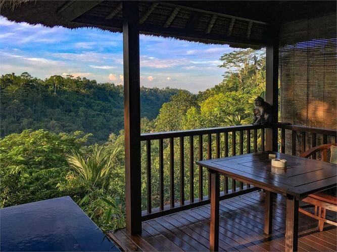 Ubud Hanging Gardens