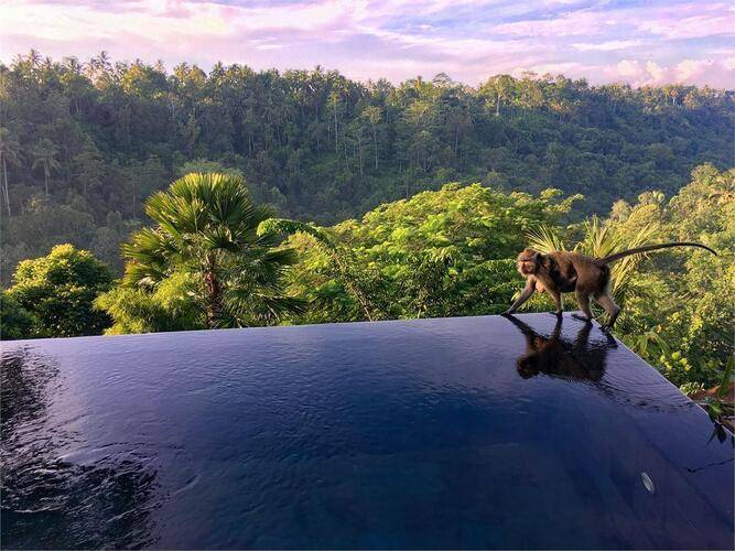 Ubud Hanging Gardens