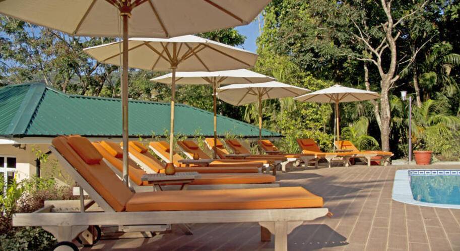 The Palm Seychelles Apts