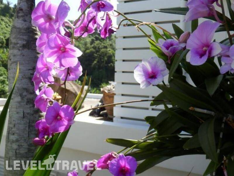 Фотография Kata Beach Studio