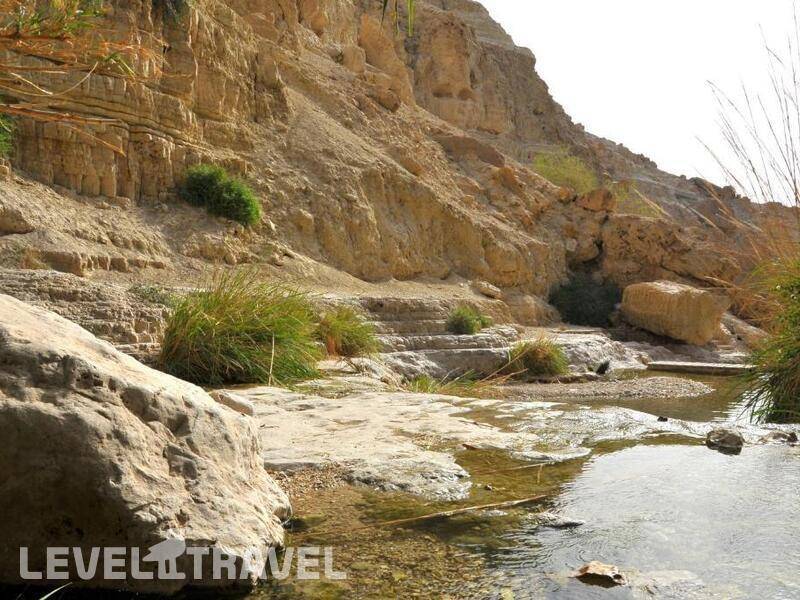 Фотография Ein Gedi Resort Hotel