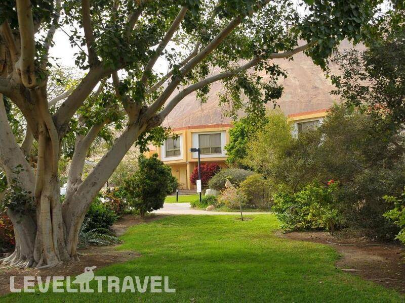 Фотография Ein Gedi Resort Hotel