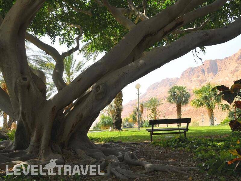 Фотография Ein Gedi Resort Hotel
