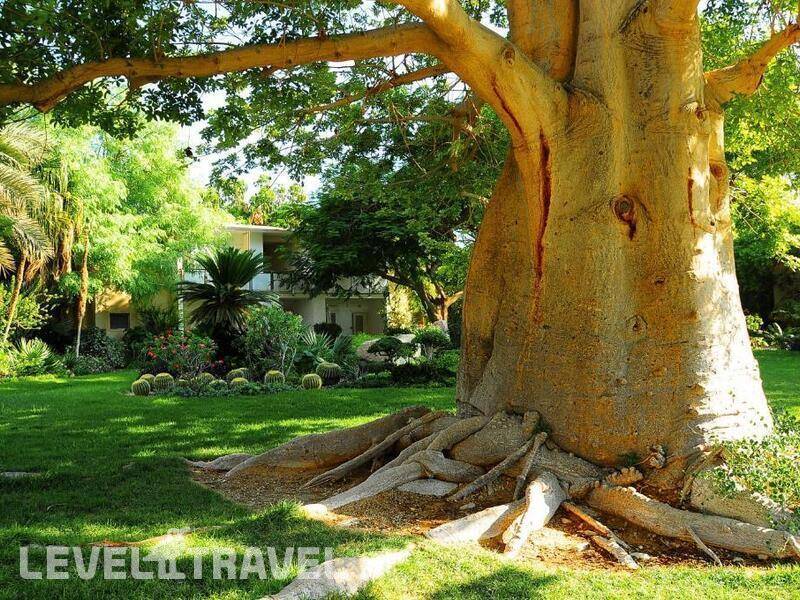 Фотография Ein Gedi Resort Hotel