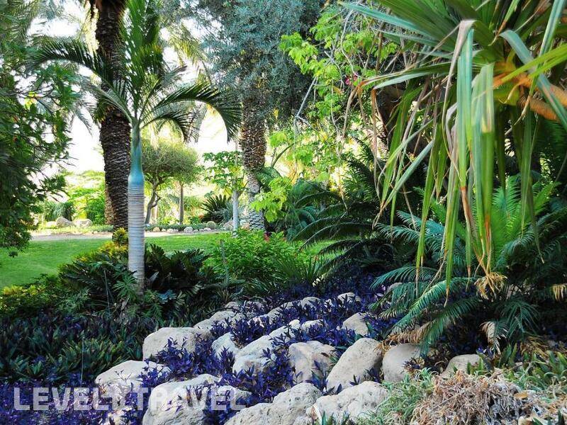 Фотография Ein Gedi Resort Hotel