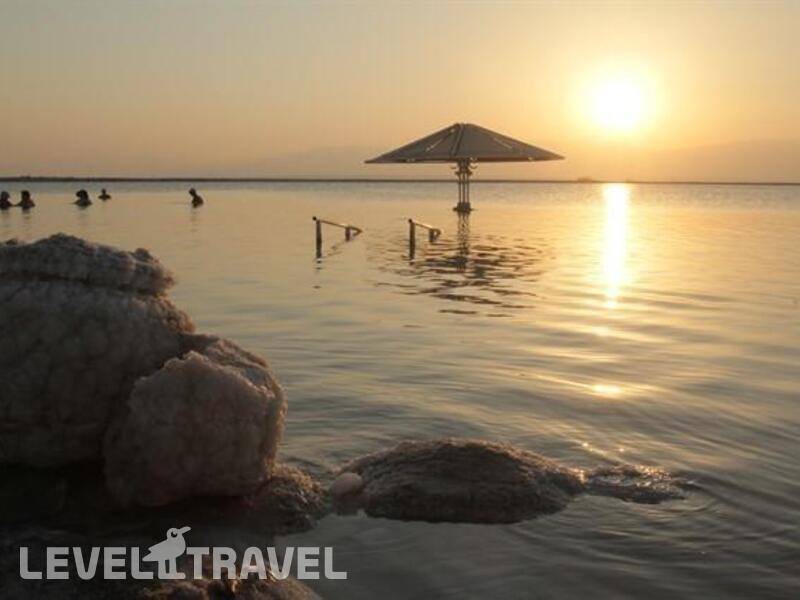 Фотография Orchid Dead Sea (Ex. Tsell Harim)