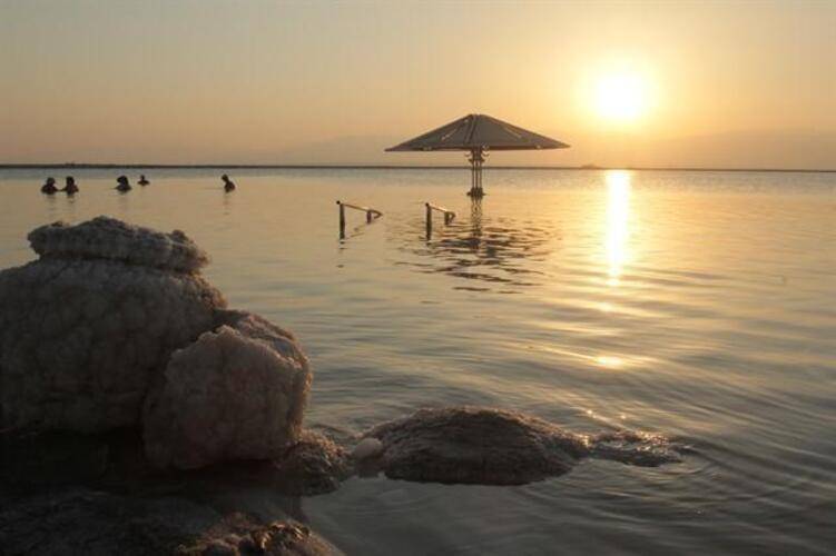 Orchid Dead Sea (Ex. Tsell Harim)