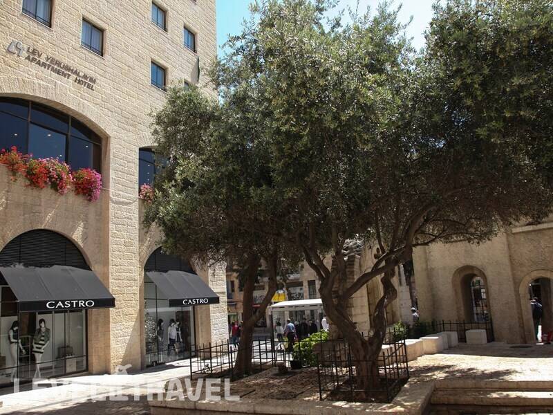 Фотография Lev Yerushalayim