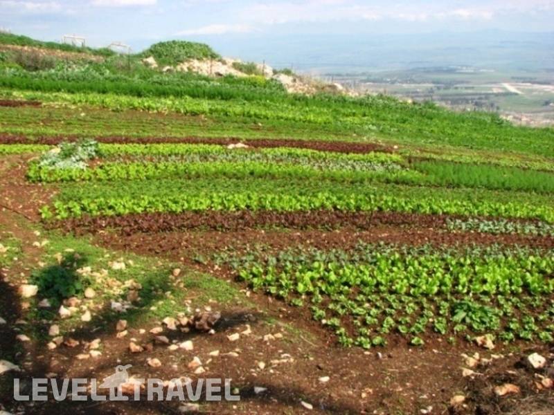 Фотография Hamat Gader Spa Village Фотография Hamat Gader Spa Village