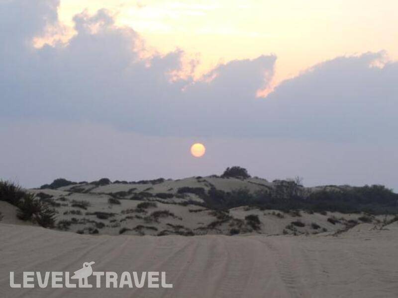 Фотография Dan Gardens Ashkelon Фотография Dan Gardens Ashkelon