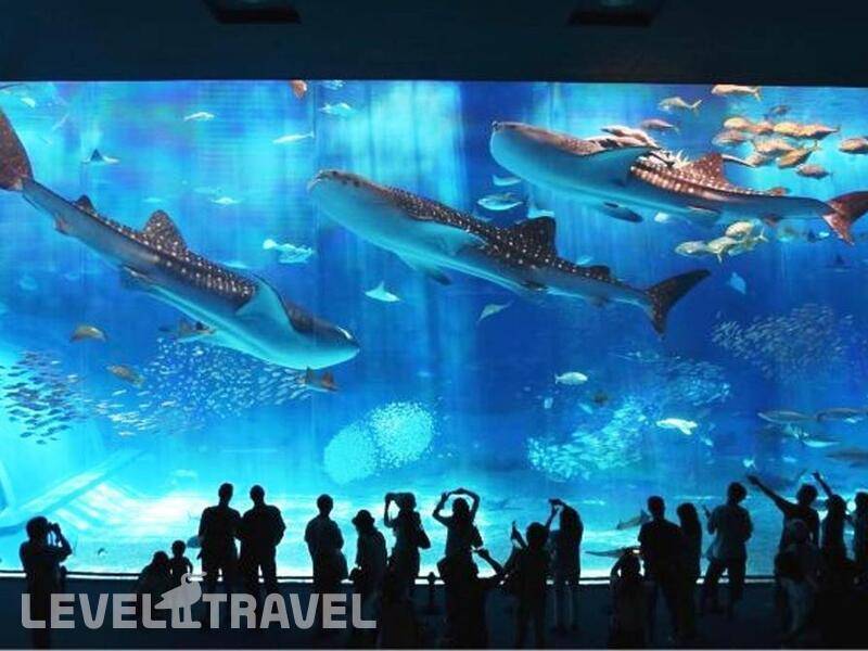 Фотография La Playa Club (Ex.C Hotel)