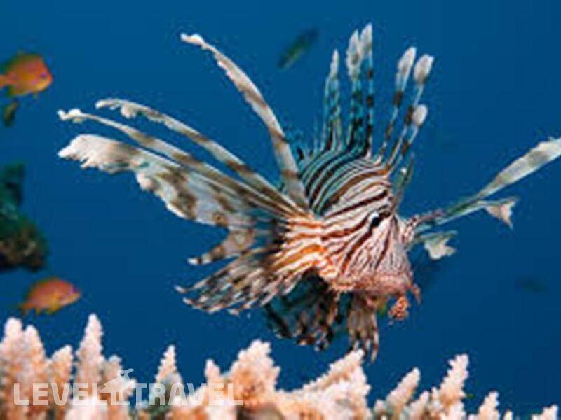 Фотография La Playa Club (Ex.C Hotel)