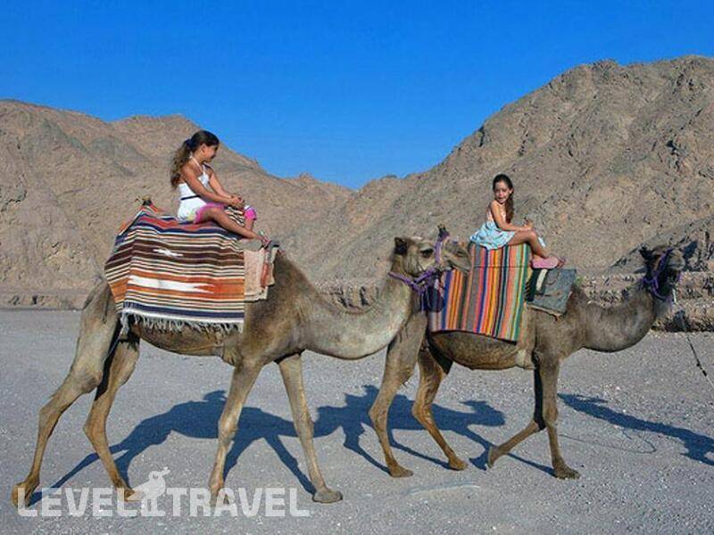 Фотография La Playa Club (Ex.C Hotel)