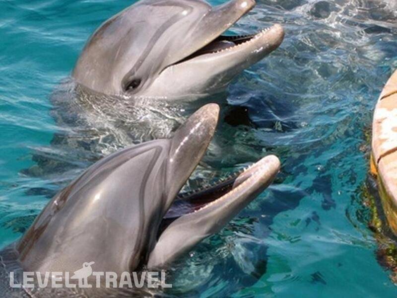 Фотография La Playa Club (Ex.C Hotel)