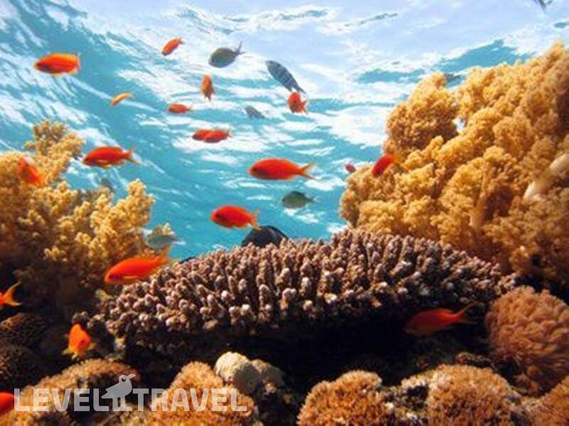 Фотография La Playa Club (Ex.C Hotel)