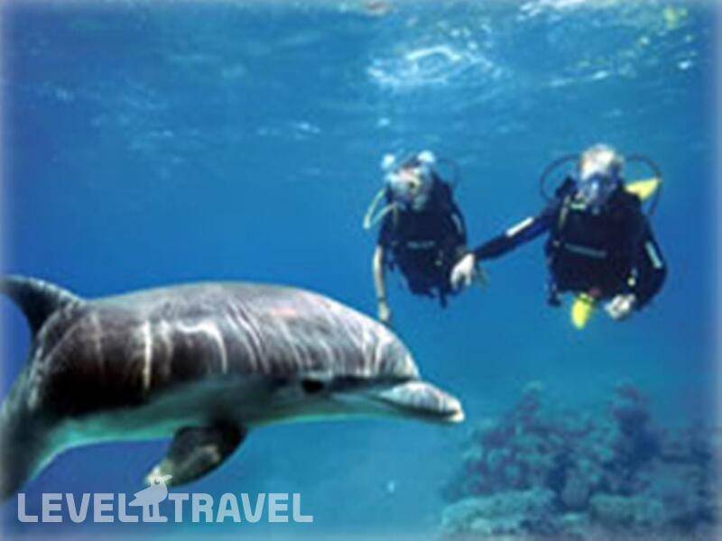 Фотография La Playa Club (Ex.C Hotel)