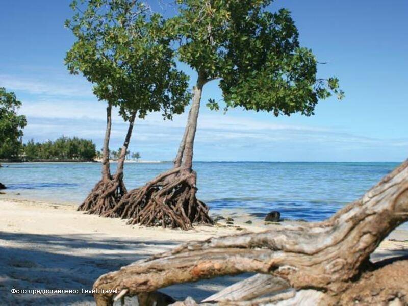 Фотография Jalsa Beach Hotel & Spa Mauritus