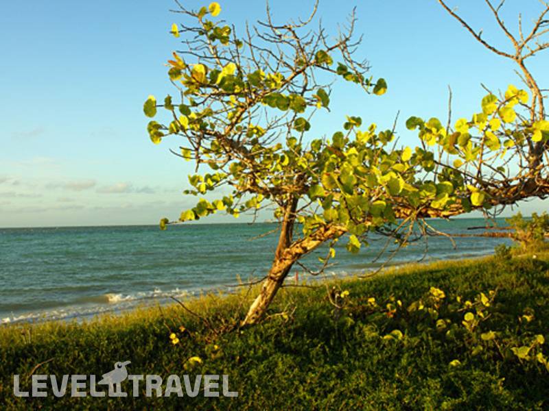 Фотография Holbox Suite