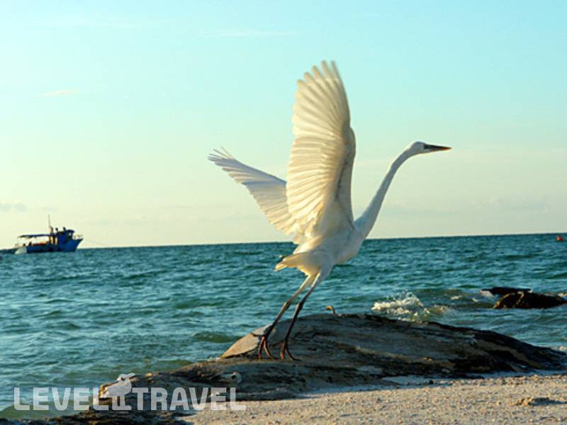 Фотография Holbox Suite