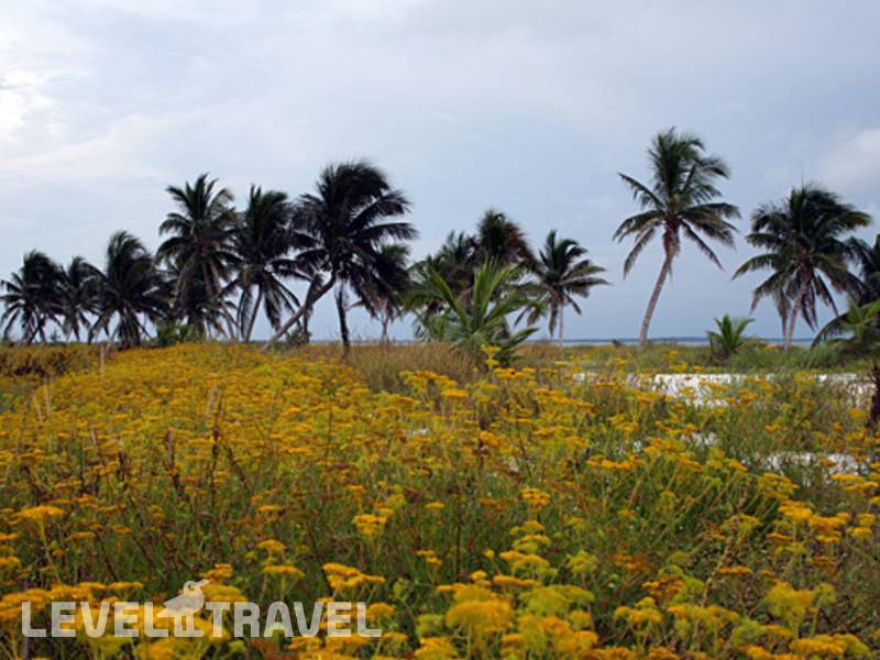 Фотография Holbox Suite