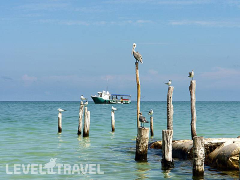 Фотография Holbox Suite