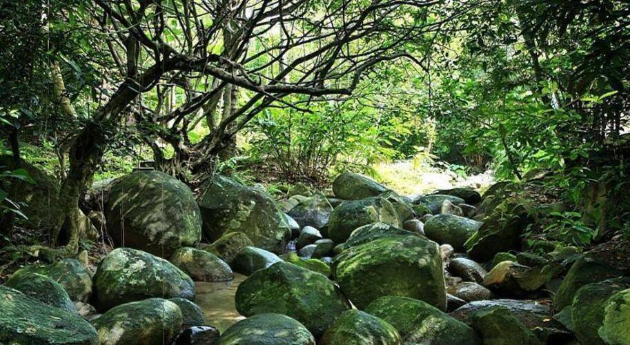 Narada Resort & Spa Qixian Mount