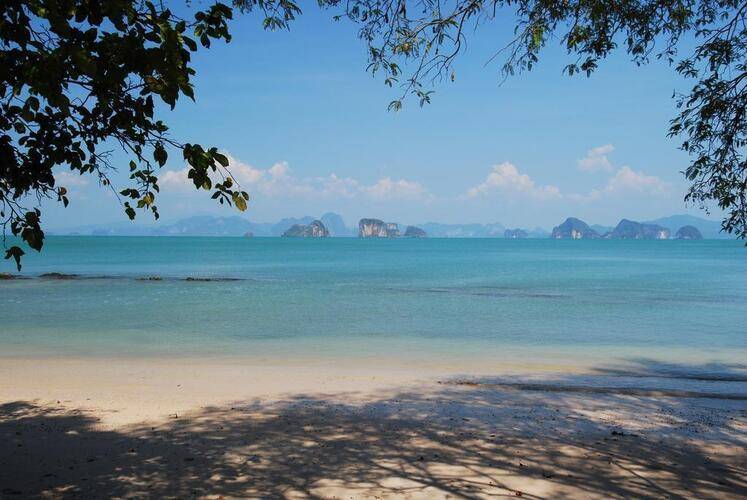 Niramaya Villa & Wellness