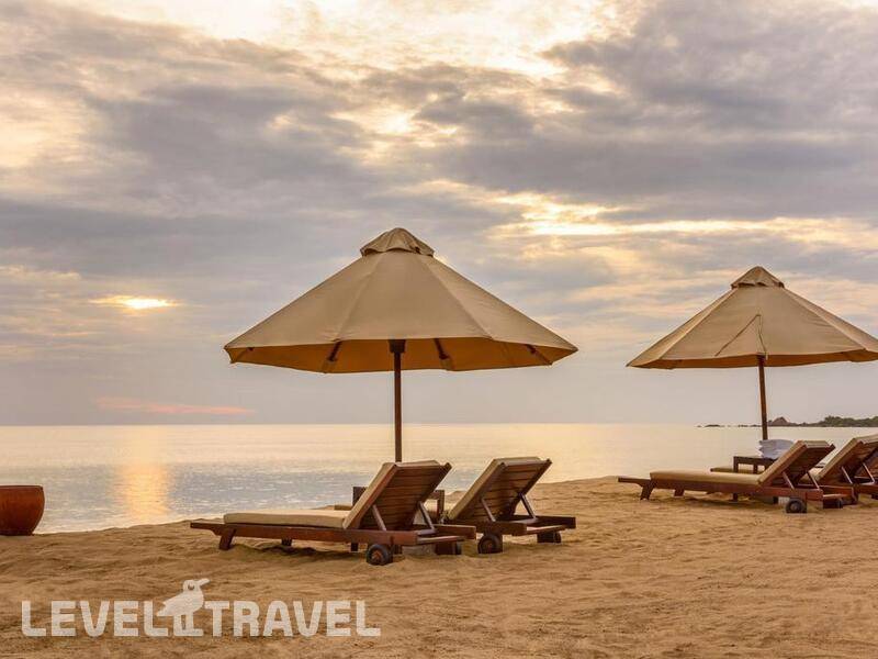 Фотография Jungle Beach Resort