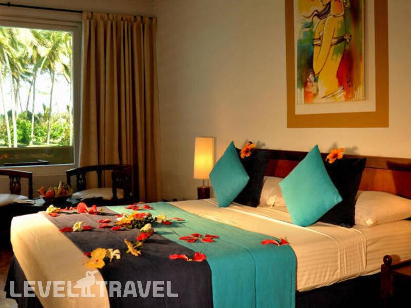 Фотография Palm Village Hotel