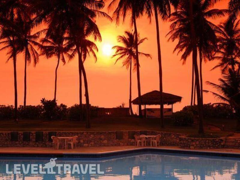 Фотография Palm Village Hotel