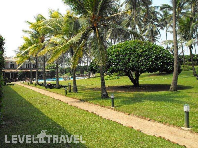 Фотография Palm Village Hotel