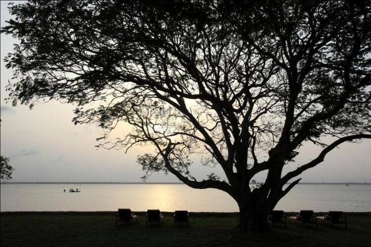 Jetwing Lagoon