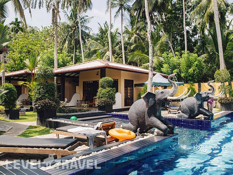 Фотография Hotel Flower Garden