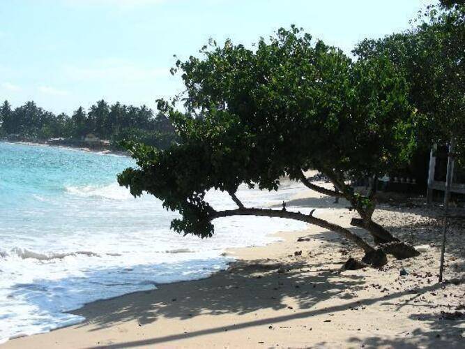 Fulmoon Beach Resort