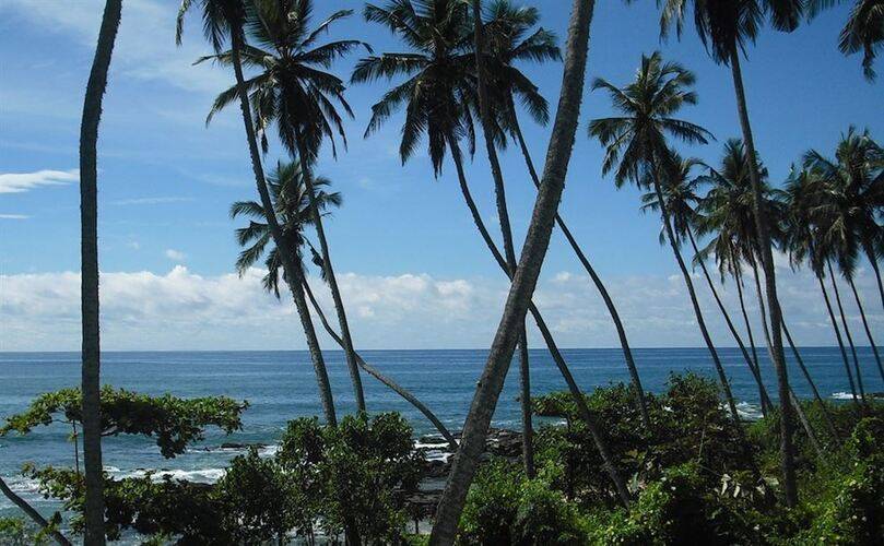 Coco Tangalla