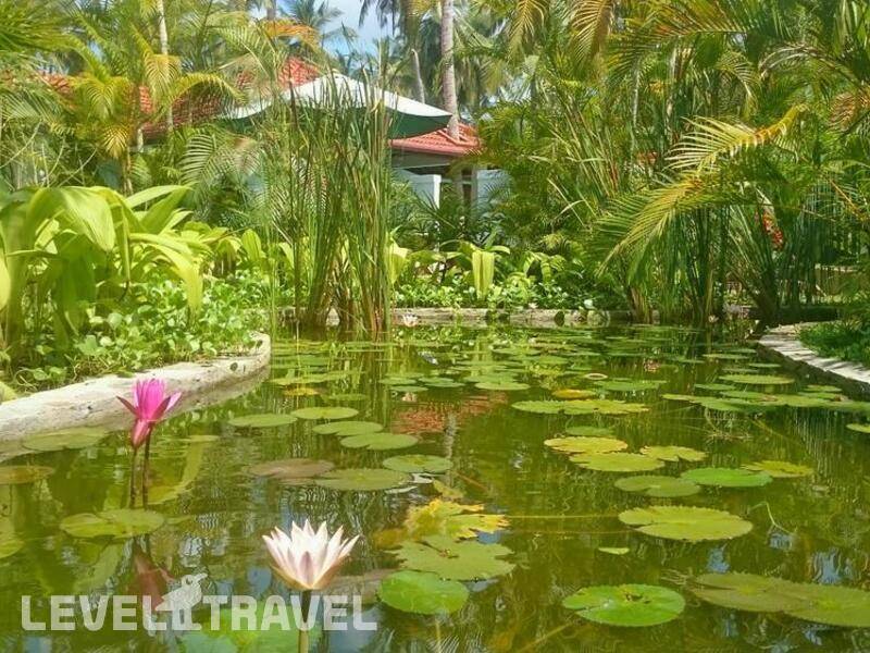 Фотография Good Karma Ayurvedic Resort